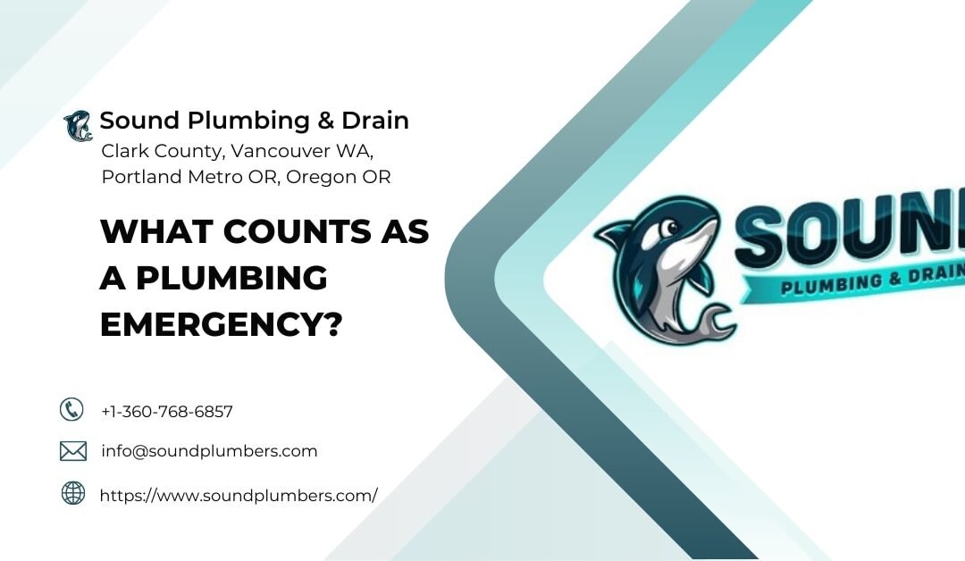 What Counts As a Plumbing Emergency?