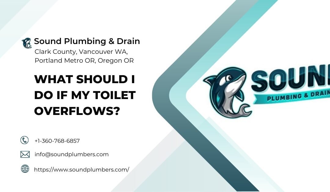 What Should I Do If My Toilet Overflows?