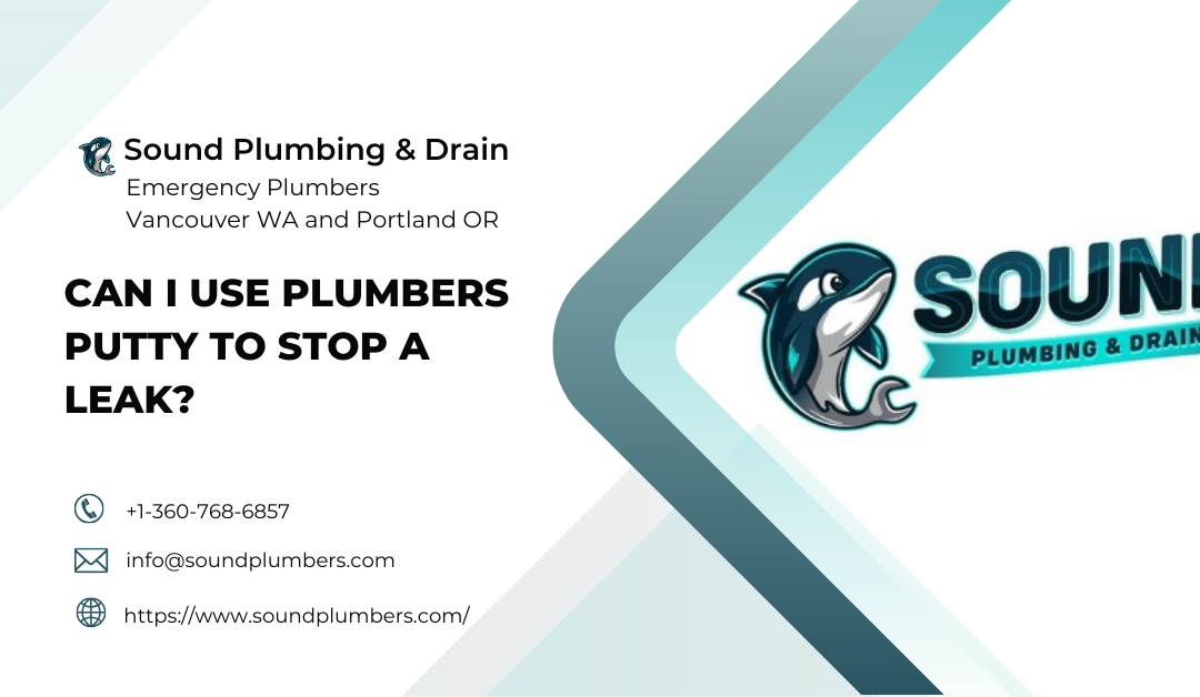 Can I Use Plumbers Putty To Step A Leak? Expert Insights