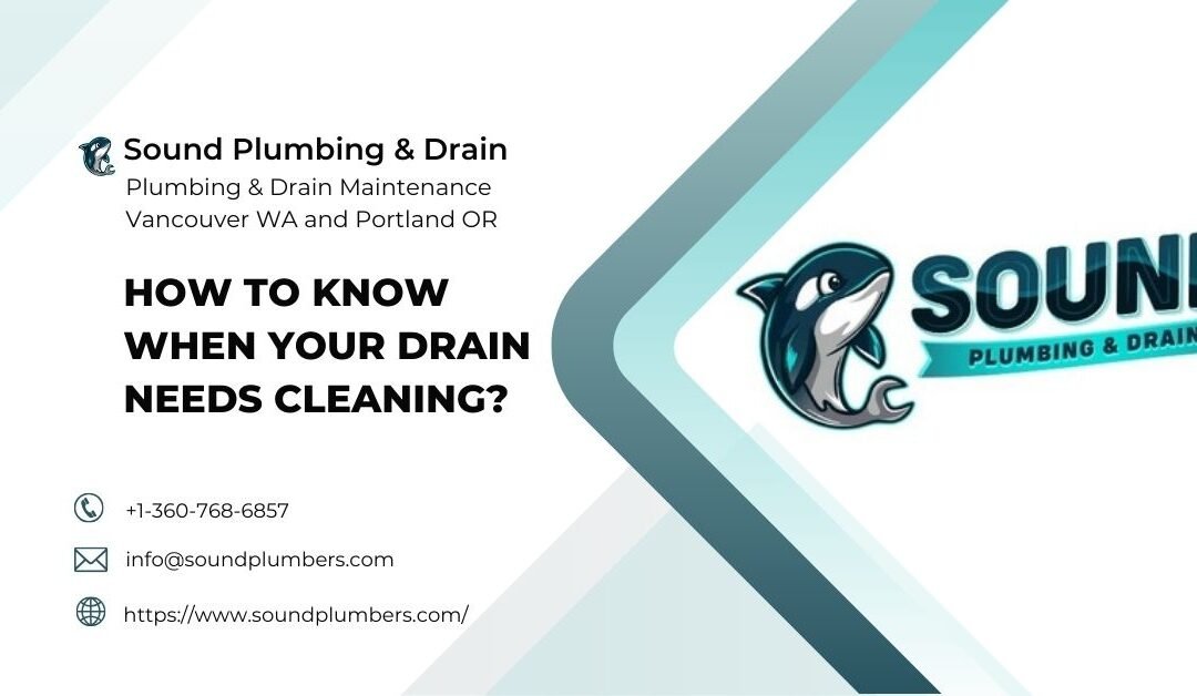 How to Know When Your Drain Needs Professional Cleaning?
