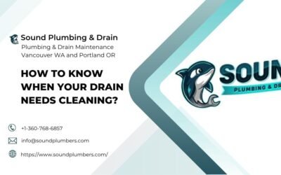 How to Know When Your Drain Needs Professional Cleaning?