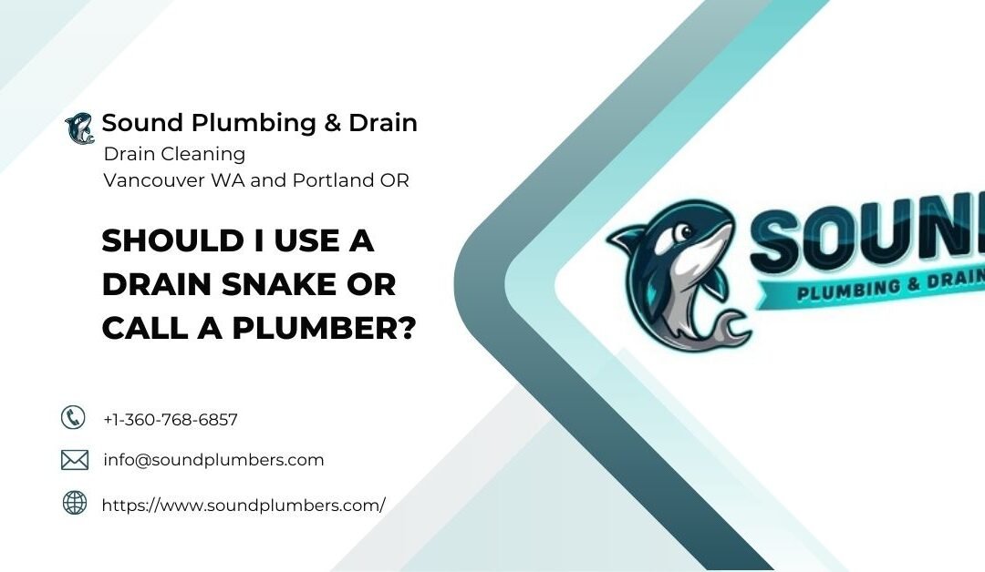 Should I Use a Drain Snake or Call a Plumber?