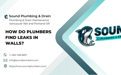 How Do Plumbers Find Leaks In Walls?