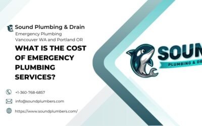 What Is the Cost of Emergency Plumbing Services?