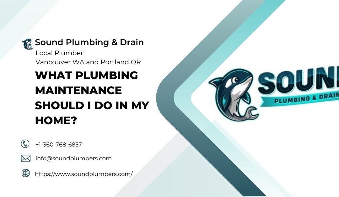 What Plumbing Maintenance Should I Do in My Home?