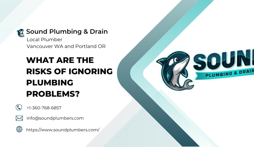 What Are the Risks of Ignoring Plumbing Problems?