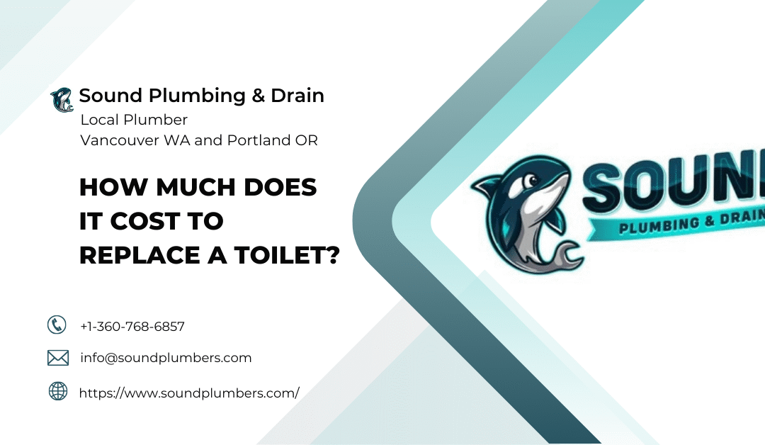 How Much Does It Cost to Replace a Toilet?
