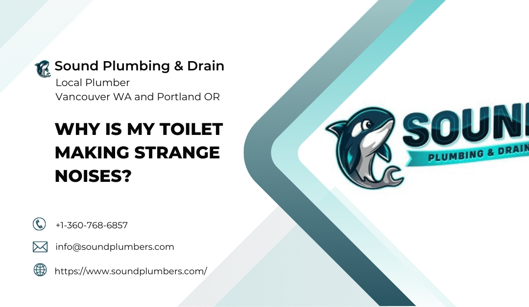 Why Is My Toilet Making Strange Noises?