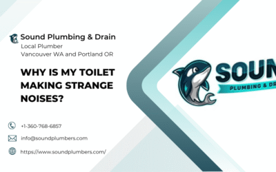 Why Is My Toilet Making Strange Noises?