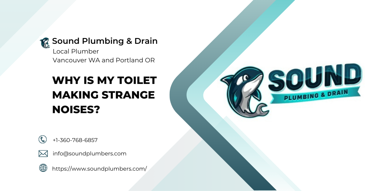 Toilet making noises blog feature