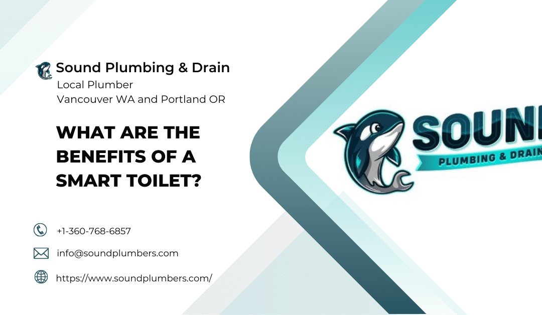 What Are the Benefits of a Smart Toilet?